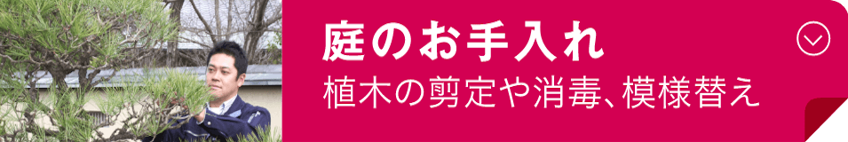 庭のお手入れ